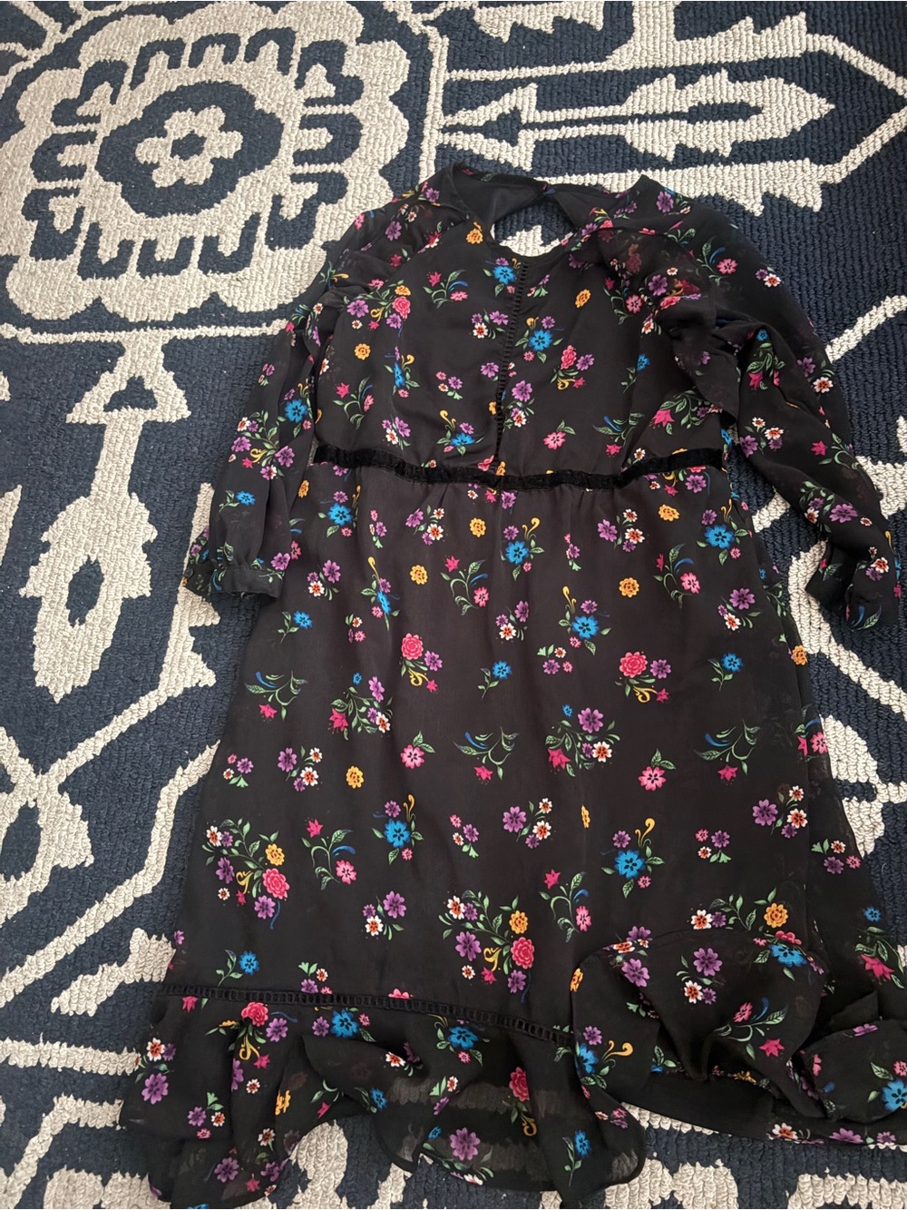 Disney Black Floral Dress with Multicolor Blooms